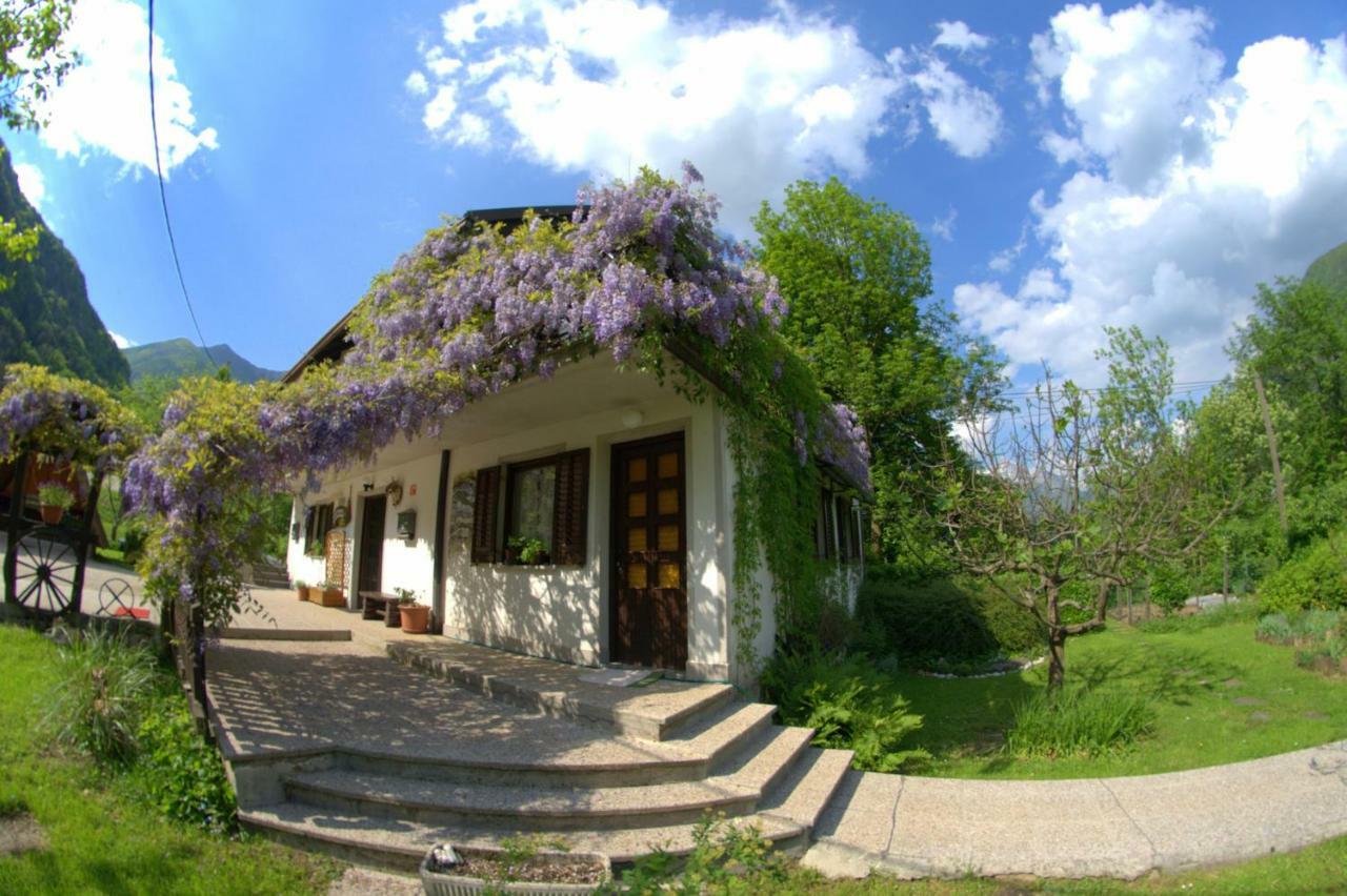 Apartma Bel Zaga Kültér fotó