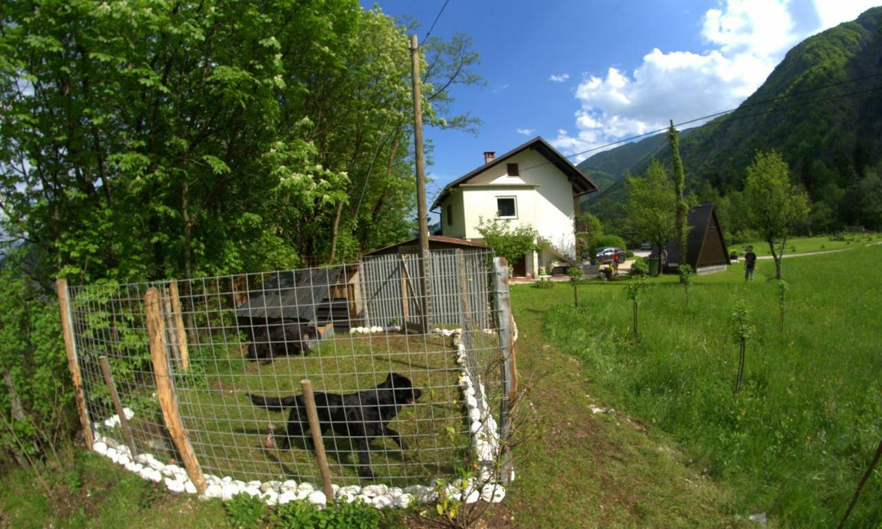Apartma Bel Zaga Kültér fotó